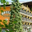 Berghof Graml