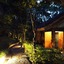 Abad Green Forest