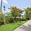 Royal St. Kitts Hotel