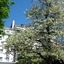 Dom Hotel