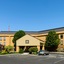 Larkspur Landing Select Carlisl