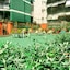 Onefam Les Corts