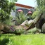 Bella Garden Hotel