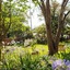 Plaza San Antonio Hotel & Spa, Autograph Collection