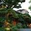 Marukyu Ryokan