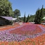 Hotel Unique Garden