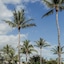 Hotel Le Recif