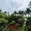 Riva Beach Resort