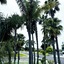 The Pacific Inn