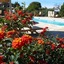 Sa Carrotja - Adults Only