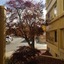 Ramada By Wyndham Downtown Spokane