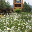 Flying Saddle Resort
