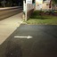 Jumping Frog Motel