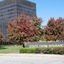 Holiday Inn Express & Suites Bloomington - Normal By Ihg
