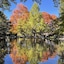 Cedarwood Inn Of Ashland