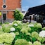 Le Manoir