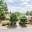 Quality Inn & Suites Rockingham