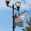 Bella Capri Inn