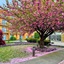Courtyard By Marriott Fishkill