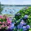 Wequassett Resort And Golf Club
