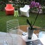 Experience Design Bed & Show