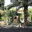 Les Jardins Danglise