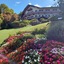 Hotel Das Hortênsias