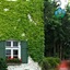 Brauereigasthof-Hotel Aying