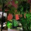 Pousada Tropical Vereda