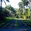Sitio Araribá