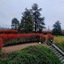 Hotel Villa Delle Rose