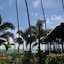 Lipa Bay Resort