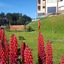 Altos Ushuaia Hotel & Resto