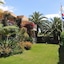 Palm Village