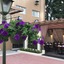 Hotel Marbor
