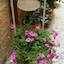 Camere A Sud