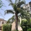 Hotel La Palma