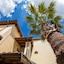 Residenza D'epoca Pietra Di Ponente