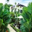 Palm Oasis Boutique Hotel