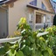 A La Villa Boucicaut