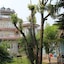 Hotel Fishtail Villa
