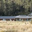 Forest Walks Lodge