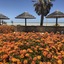 Shark Bay Seafront Apartments