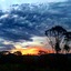 Amamoor Lodge