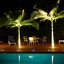 A Tropical Escape B&B