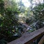 Tamborine Luxury Chalets