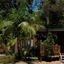 The Palms At Avoca