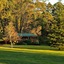 Diamond Forest Farm Stay