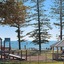 Norfolks On Moffat Beach