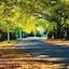 The Grand Oaks Resort